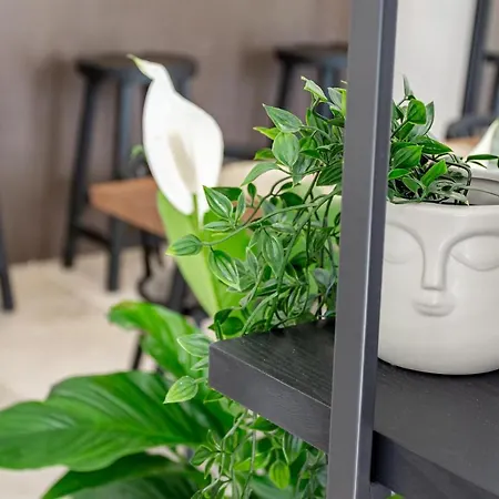 Gg- Modern Townhouse, Families & Couples Only Holiday home